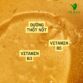 gel tam dtn 50ml 4